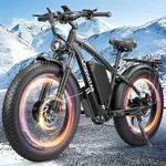 6000W Peak Dual Motor Ebike for Adu