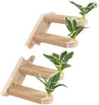 2 Packs Cat Wall Steps Cat Steps for Wall Cat Shelves Cat Stairs Wall Mounted Cat Climbing Stairs Shelf with Jute Scratching and Leaf Cat Tree Wall Furniture Cat Ladder for Wall Cat Wall Stairs R