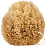 Givereldi Power Exfoliator Natural Sea Sponge - Strong, Durable, Unbleached, Pouf and Scrub with Rope - 100% Organic & Hypoallergenic - Adult Bath, Shower, Exfoliating, Art, Pets, Gift (Small)