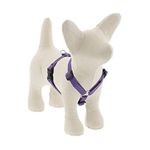 Extra Small Adjustable Dog Harness by Lupine ECO Collection 1/2" Wide Lilac with 9-14" Adjustable Girth