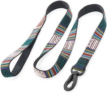 Embark Urban Dog Leashes - Colorful, Strong and Sturdy Nylon Dog Leashes for Small Dogs, Dog Leashes Medium Dogs and Dog Leashes Large Breed Dogs, Heavy Duty Dog Leash (Mayan, 4 Ft Dog Leash)