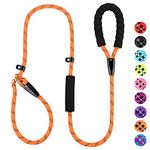 PLUTUS PET Dog Slip Lead, Anti-Choking with Traffic Padded Two Handles, Reflective Strong Sturdy Heavy Duty Rope Lead, 6FT/182cm Dog Training Lead for Medium Large Dogs （6' Orange)