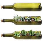 BELLE VOUS Glass Wine Bottle Succulent Planter Pots (3 Pack) - L32 x W7.1cm / 12.6 x 2.8 Inches - Oval Cut Out Section - For Plants, Flower, Cactus, Bamboo, Garden, Terrarium & DIY Decor
