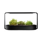 ingarden Microgreens Growing Kit - Organic Superfood Sprouting Seed Pads (3) | Auto 4-Stage LED Grow Lights & Hydroponic Watering System Steel Frame & Ceramic Bowl, Plastic-Free [Black]