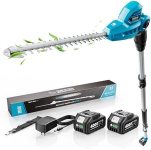 SEESII 20V