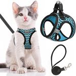 Cat Harness and Leash Escape Proof,Adjustable Soft Mesh Kitten Vest Harness for Walking Reflective Pet Harness for Cat Small Dogs Puppy