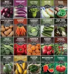 Vegetable Starter Kit Seed Vault - 20 Delicious Varieties of Vegetables - Non-GMO Heirloom Non-Hybrid Seeds for Planting - Grow Your Own Victory Garden or Start Homesteading - Survival Garden Seeds