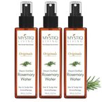 Mystiq Living Rosemary Water for Hair Growth, Big Saver Pack Mist Spray Steam Distilled 100% Pure and Natural Hydrosol, (Pack of 3) - 300ML (100 ML Each)