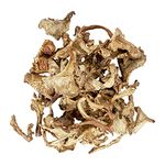 Chanterelle Mushrooms