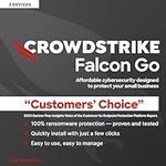 CrowdStrike Falcon Go | Cloud-Based