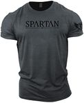 GYMTIER Spartan Forged - Spartan - Men's Gym T-Shirt Bodybuilding Training Workout Lifting Top Clothing, Grey, L