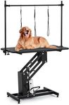 43.3" Hydraulic Dog Grooming Table for Pet, Heavy Duty Structural Hydraulic Max Load 350Lbs Professional Pet Grooming Table with Adjustable Overhead Arm & Noose Height Range 22''-39'' (BLACK)