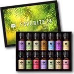 P&J Trading Fragrance Oil Favorite 