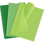 NEBURORA Assorted Green Tissue Paper Set 60 Sheets Gift Wrap Paper Tissue Art Paper 3 Colors for Saint Patrick's Day DIY Arts and Crafts Birthday Easter Wedding Holiday Party Decoration