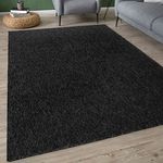 THE RUGS Low Pile Area Rugs – Modern Indoor Rugs for Living Room, Bedroom, Dining Room, Entryway – Non-Shedding (Dark Grey, 160x230 cm)