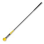 Amazon Basics Golf Swing Trainer 48"