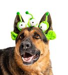 Midlee Alien Dog Headband Costume