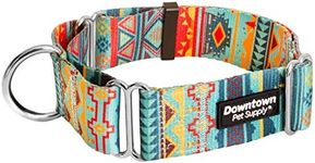 Downtown Pet Supply - Martingale Co