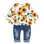 CARETOO Girls Clothes Outfits, Cute Baby Girl Floral Long Sleeve Pant Set Flower Ruffle Top