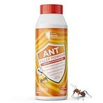 Ant Killer Powder - 300g - Indoor & Outdoor Ant Killer Powder with Permethrin - Long-Lasting, Precision Targeted Control