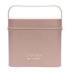 Rio Lush Box Portable Makeup Cosmetic Vanity Travel Case Organiser with Removeable LED Light Mirror, Skincare Organiser, Cosmetic Storage, Makeup Case - Large