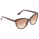 Calvin Klein Women's 210 Sunglasses, Crystal Brown, 58mm, 14mm, 140mm