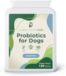 Probiotics For Dogs - Yeast Balance