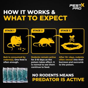 Pest X Pro Rat Killer 6-Pack – Rodent Control Bait