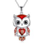 Owl Necklace Jewellery Gifts for Women Sterling Silver Birthstone Owl Pendant Necklace Christmas Jewellery for Women (01-January)