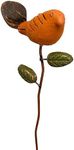BestNest Set of 6 Ancient Graffiti Bird Plant Picks, Spice