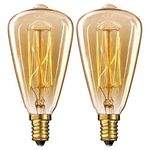 40 Watt Edison Bulb