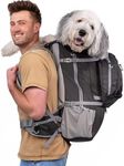K9 Sport Sack Kolossus - Large, Bla