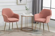 CHAIR DECOR Pink Velvet Chair for Home | Modern Accent Armchair in Soft Velvet Fabric with Golden Legs | Set of 2 Premium Accent Chair for Living Room Bedroom Restaurent | Pink, 2 pc