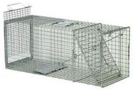 Live Animal Trap for Large Raccoons, Foxes, Woodchucks - Slide Release Door