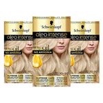 Schwarzkopf Oleo Intense Blonde Hair Dye, 3-Pack Permanent Oil Colour, No Ammonia, Covers Greys, Ash Blonde 10-50