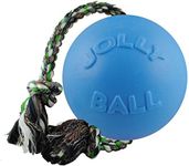 Jolly Pets 6-Inch Romp-N-Roll Blueberry Ball