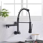 Aquieen Wall Mounted Pull Out Cold Water Kitchen Sink Faucet (Sink Cock Spring Black)