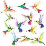 DECOWALL DS-8060 12 Large Beautiful Humming Birds Wall Stickers Flying Hummingbird Decals Removable for Bedroom Living Room Art Home Décor