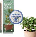 Sprout Wood-Cased Pencils | Mindful Thoughts Edition | #2 HB Pre-Sharpened Graphite Plantable Wooden Pencils with flower, Herb & Vegetable Seeds | With Heart-Warming Quotes | 8 Pack