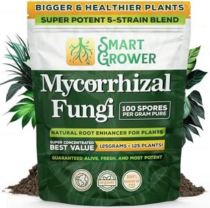 Mycorrhiza