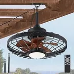 LEDIARY 20" Outdoor Ceiling Fans wi
