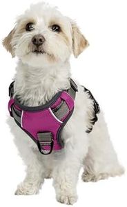 Embark Adv