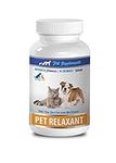 cat Anxiety Supplement - Natural Re