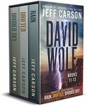 The David Wolf Mystery Thriller Series: Books 11-13 (The David Wolf Series Box Set Book 4)