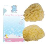 Ellie-Fant Natural Baby Sponge – 2 Mediterranean Sea Honeycomb Sponges | Perfect for Babies & Toddlers Bathing Cleansing | Soft Safe Organic Durable Hypoallergic Sponges