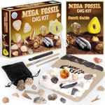 Science Kidz Mega Fossil Dig Kit - Excavate 20 Genuine Prehistoric Fossils, Fossil Hunting Kit For Kids, Educational Science Kits, Kids Fossil Dig Kit Toy, Fossil Digging & Excavation Kits For Kids