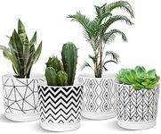 Ton Sin Plant Pots,5.5 Inch White Pots for Indoor Plants with Drainage Holes,Cylinder Flower Pot Ceramic Planters with Saucer,Cactus Succulent Outdoor Garden Pots Set of 4