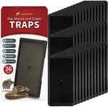 LULUCATCH Super Glue Traps 36 Pack 