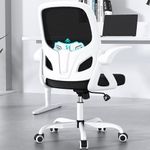 Kensaker Office Desk Chair with Lum