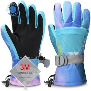 Ski Gloves